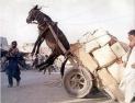 t9alach masskin